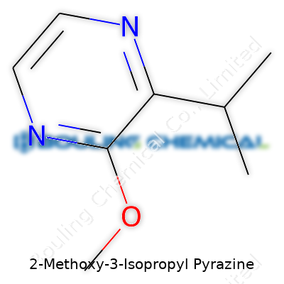 2-Methoxy-3-Isopropyl Pyrazine