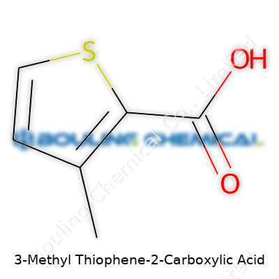 3-Methyl Thiophene-2-Carboxylic Acid