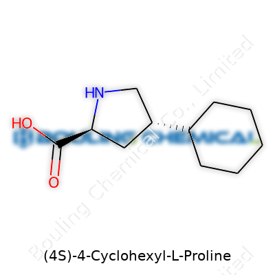 (4S)-4-Cyclohexyl-L-Proline