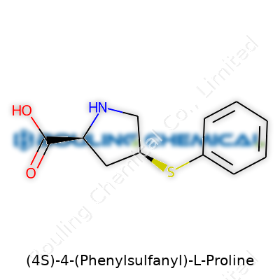 (4S)-4-(Phenylsulfanyl)-L-Proline