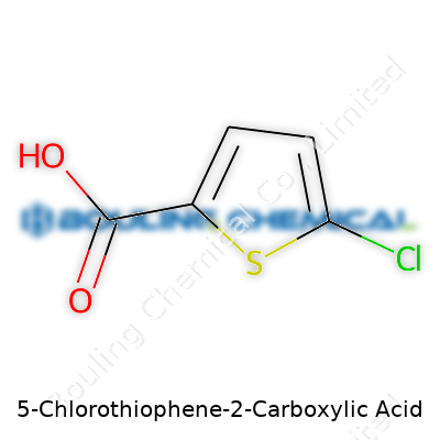 5-Chlorothiophene-2-Carboxylic Acid