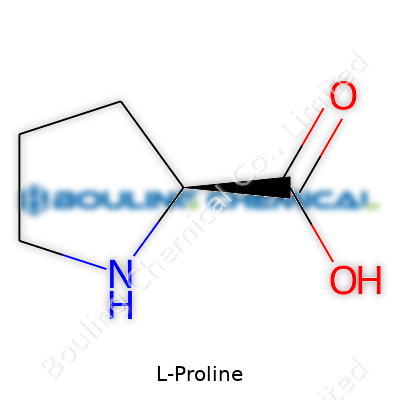 L-Proline