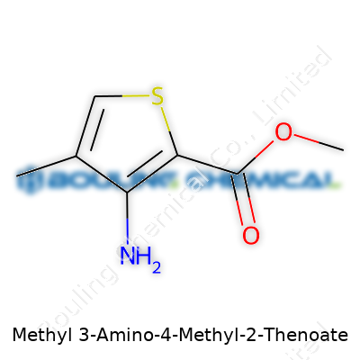 Methyl 3-Amino-4-Methyl-2-Thenoate