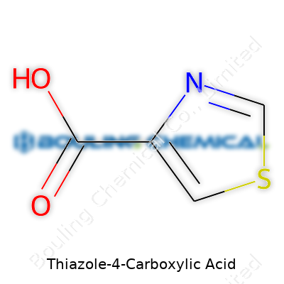 Thiazole-4-Carboxylic Acid