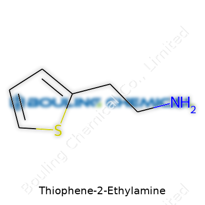 Thiophene-2-Ethylamine