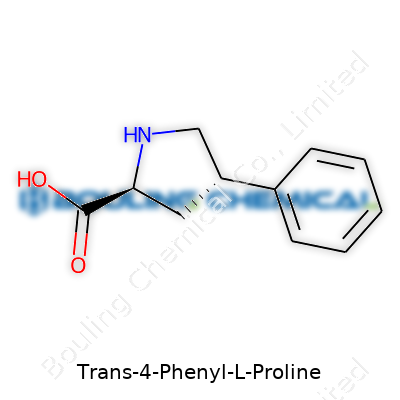 Trans-4-Phenyl-L-Proline